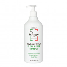 Шампунь Picasso Clean&Care Шампунь Picasso Clean&Care