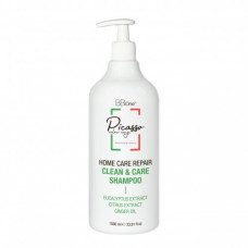 Шампунь Picasso Clean&Care 1000 мл